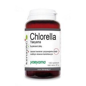 Chlorella - водоросли хлореллы, 120 таб. 103129 фото